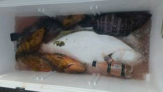 ディープ オーシャン 釣果