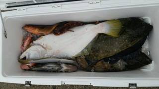 ディープ オーシャン 釣果