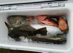 ディープ オーシャン 釣果