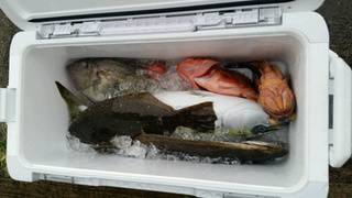 ディープ オーシャン 釣果