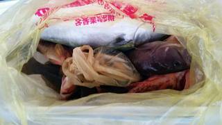 ディープ オーシャン 釣果