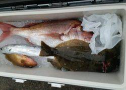 ディープ オーシャン 釣果