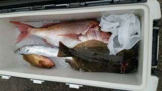 ディープ オーシャン 釣果