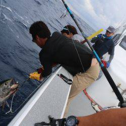へいみつ丸 釣果