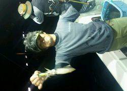 ディープ オーシャン 釣果