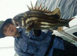 ディープ オーシャン 釣果