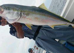 ディープ オーシャン 釣果