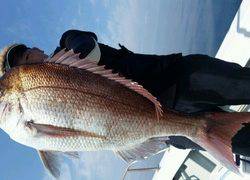 ディープ オーシャン 釣果