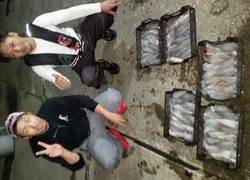 ディープ オーシャン 釣果