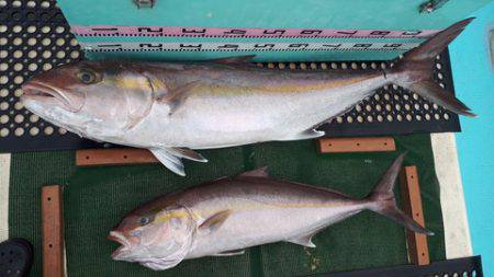 武勝丸（ぶしょうまる） 釣果