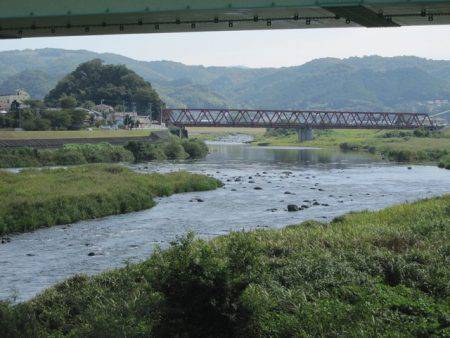 狩野川（狩野川漁業協同組合） 釣果
