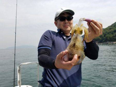 Magic（マジック） 釣果