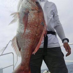 遊漁船 新鋭丸 釣果