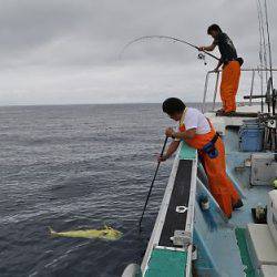 八海丸 釣果