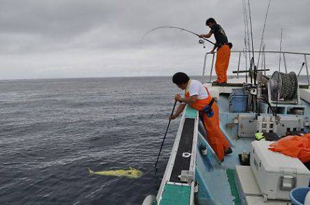 八海丸 釣果