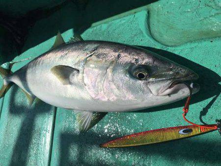 広進丸 釣果