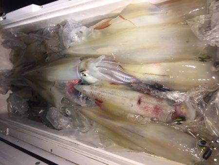 幸風（さちかぜ） 釣果