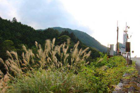 小菅トラウトガーデン 釣果