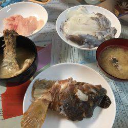 アオリデイゲーム