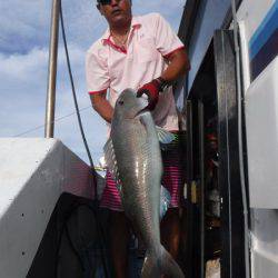 オーシャンパイオニア 釣果