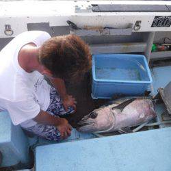 オーシャンパイオニア 釣果