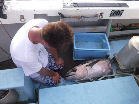 オーシャンパイオニア 釣果
