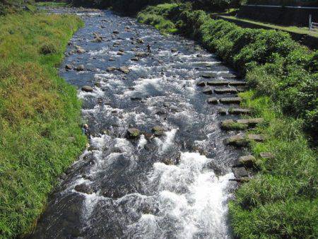 狩野川(狩野川漁業協同組合) 釣果