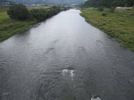狩野川(狩野川漁業協同組合) 釣果
