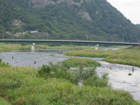 狩野川(狩野川漁業協同組合) 釣果