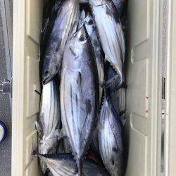 へいみつ丸 釣果