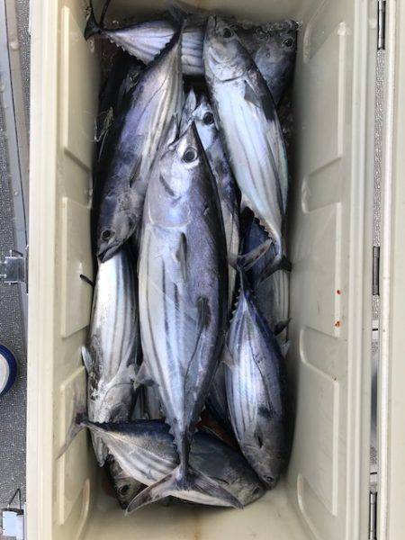 へいみつ丸 釣果