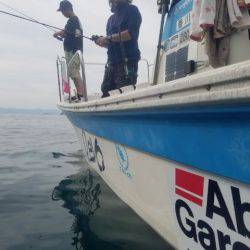 Magic(マジック) 釣果