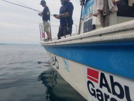 Magic(マジック) 釣果