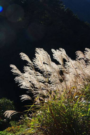小菅トラウトガーデン 釣果