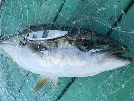 広進丸 釣果
