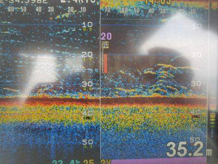 遊漁船　ニライカナイ 釣果