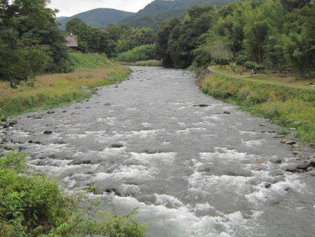 狩野川(狩野川漁業協同組合) 釣果