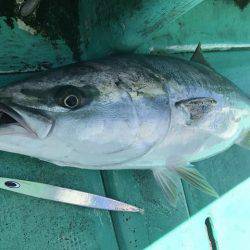 広進丸 釣果