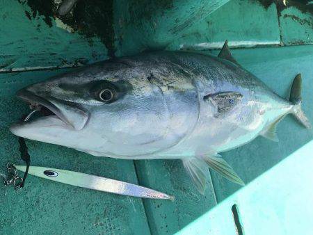 広進丸 釣果