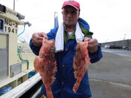 大進丸（新潟） 釣果