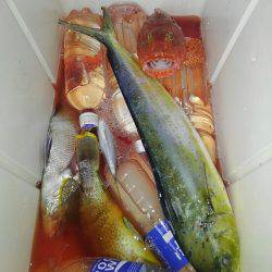 遊漁船 新鋭丸 釣果