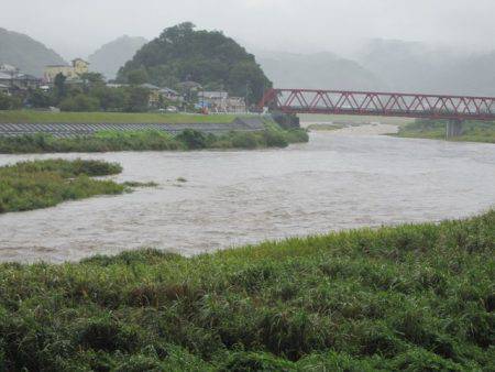 狩野川（狩野川漁業協同組合） 釣果