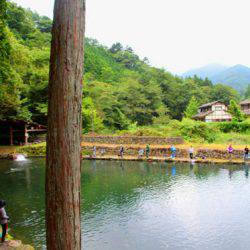 小菅トラウトガーデン 釣果