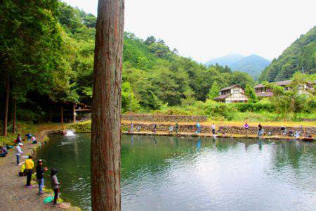 小菅トラウトガーデン 釣果