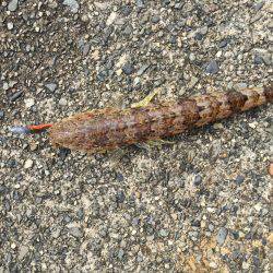 台風前ショアジギ