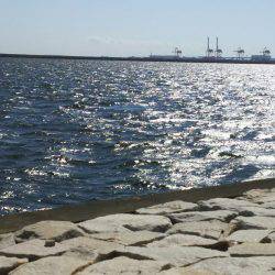 台風直後はやはり