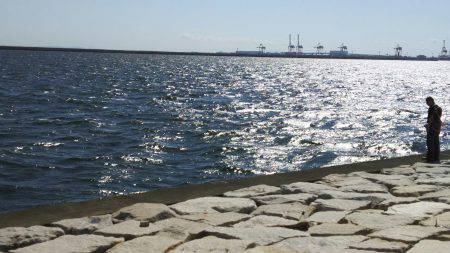 台風直後はやはり