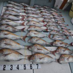 遊漁船 幸友丸 釣果