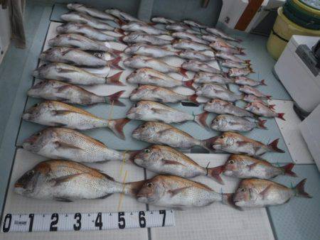 遊漁船 幸友丸 釣果