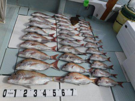 遊漁船 幸友丸 釣果